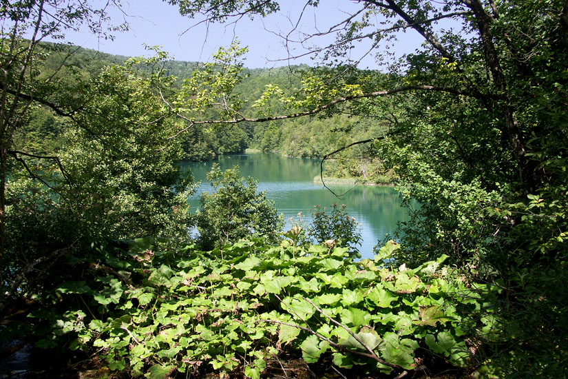 Obraz 037